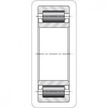 Design Units TIMKEN 170RU93R3 Cylindrical Roller Radial Bearing